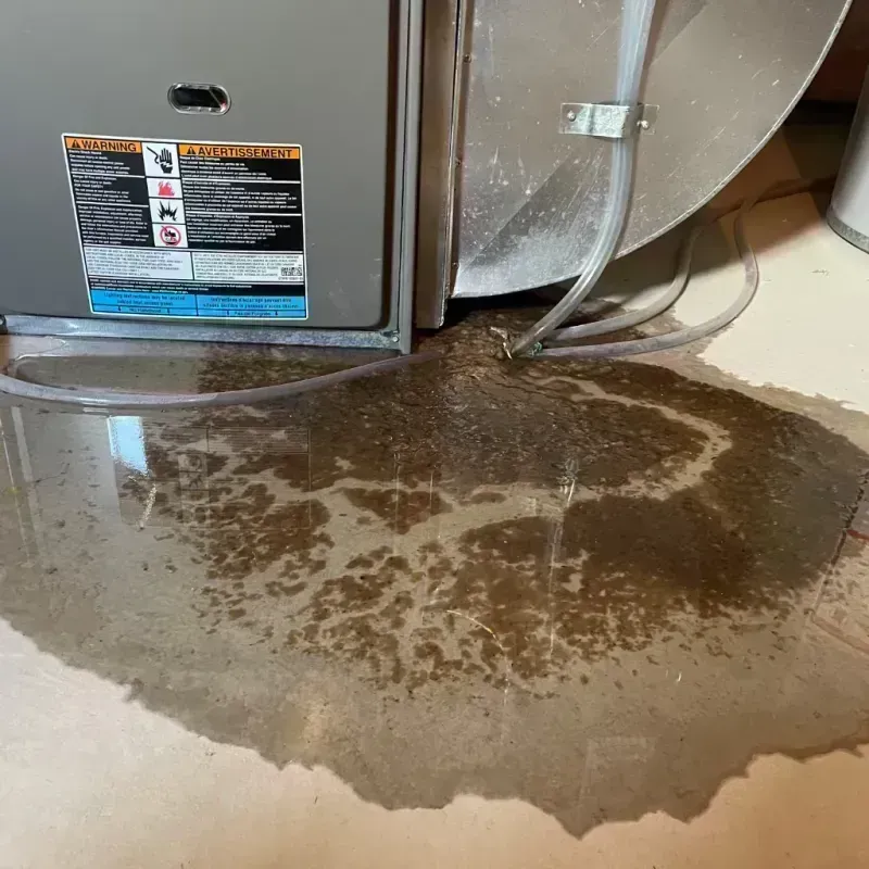 Appliance Leak Cleanup in Hines, OR